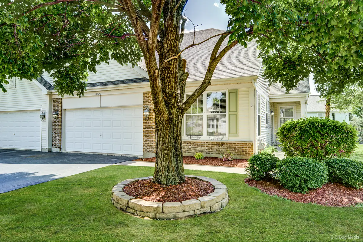 8222 Tremont Lane, Joliet, IL 60431 - #1