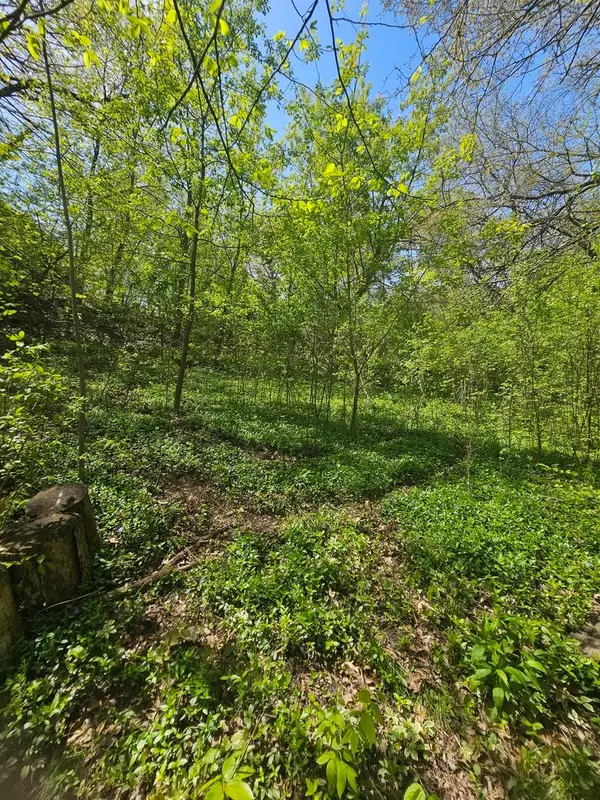 38581 N Hillandale Drive, Spring Grove, IL 60081