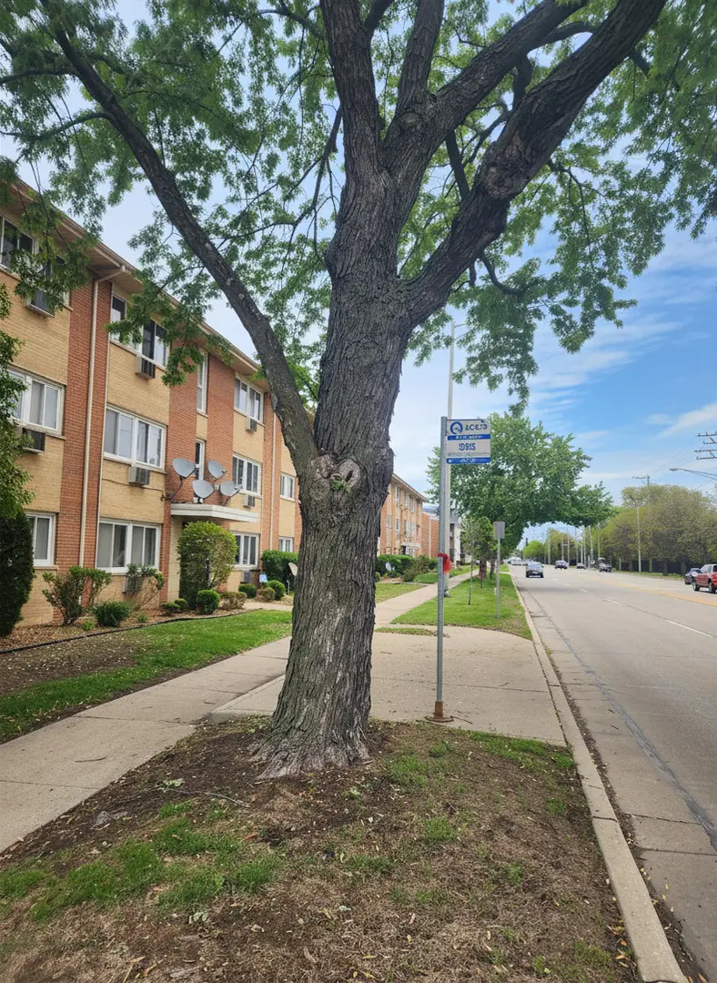 4450 W 111th Street #22, Oak Lawn, IL 60453 - #2