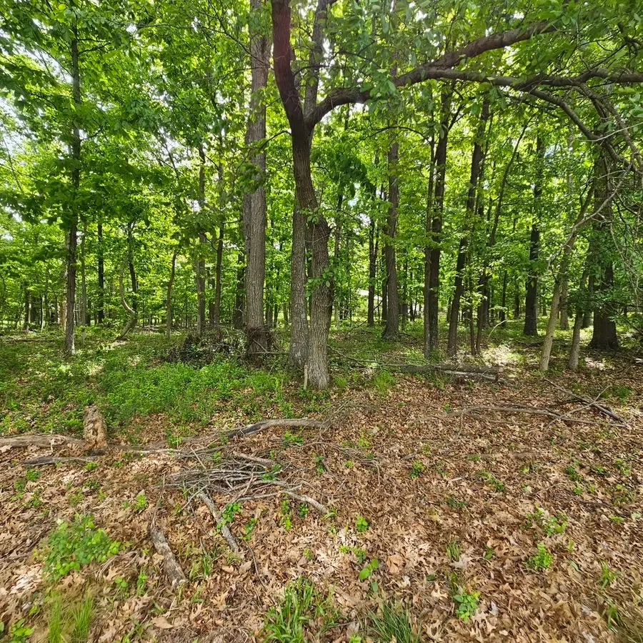 4147 Richview Road, Mount Vernon, IL 62864 - #2