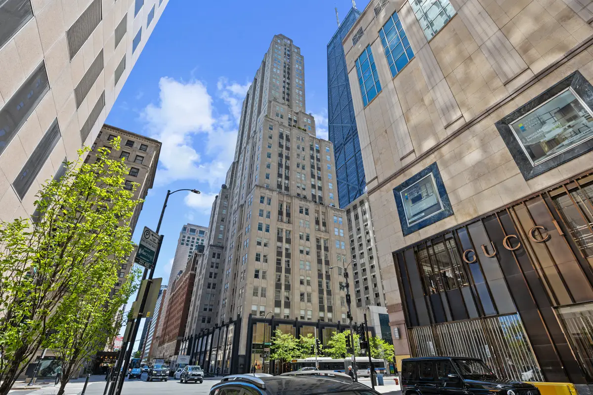159 E Walton Place #12D, Chicago, IL 60611 - #1