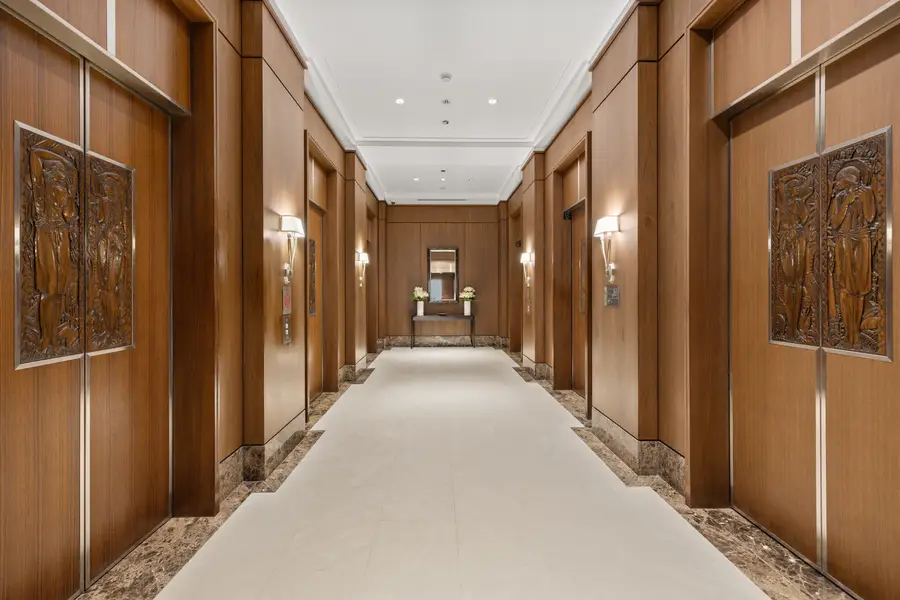 159 E Walton Place #12D, Chicago, IL 60611 - #3