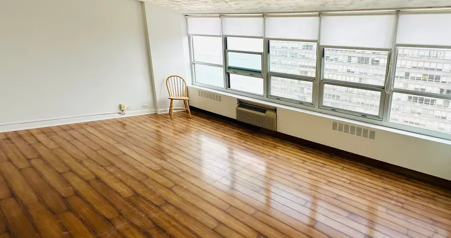 4800 S Chicago Beach Drive #1309N, Chicago, IL 60615 - #3