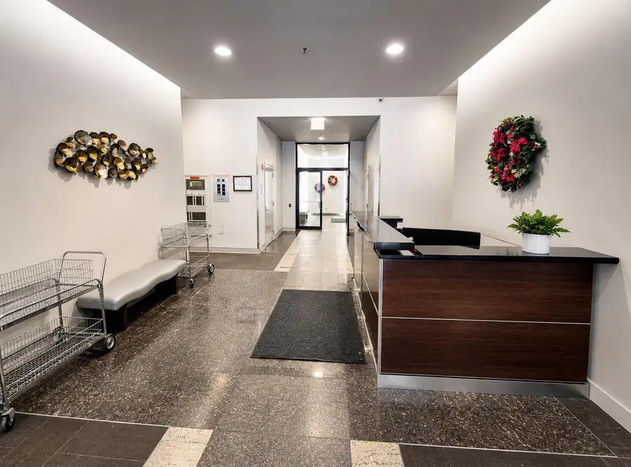 210 S Des Plaines Street #1209, Chicago, IL 60661 - #2