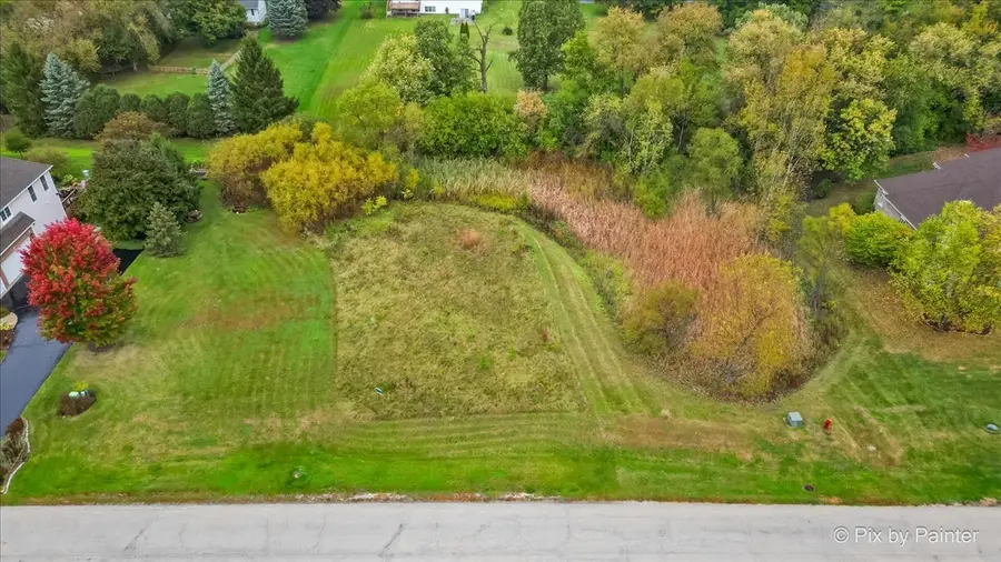 9780 Stonecastle Lane, Lakewood, IL 60014 - #3