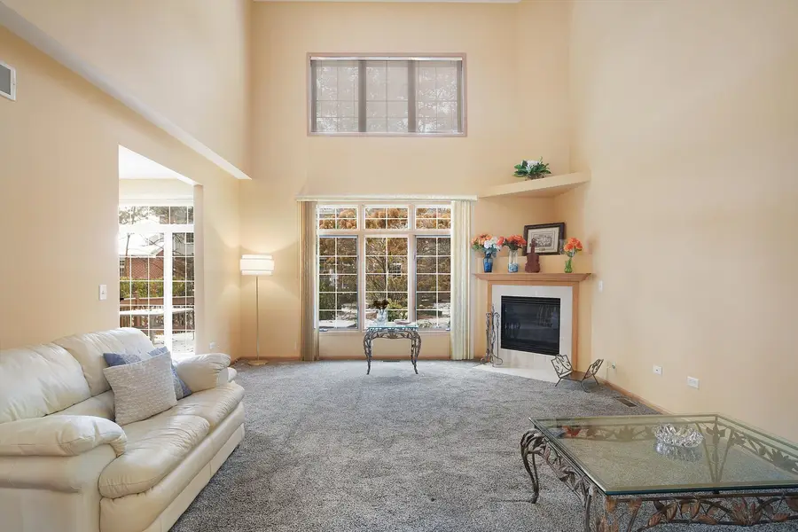 6963 Margaret Courtyard Court, Tinley Park, IL 60477 - #2