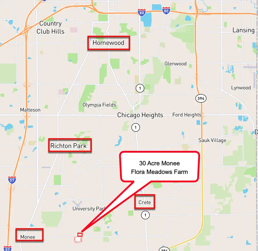 000000 W Crete Monee Road, Monee, IL 60449 - #3