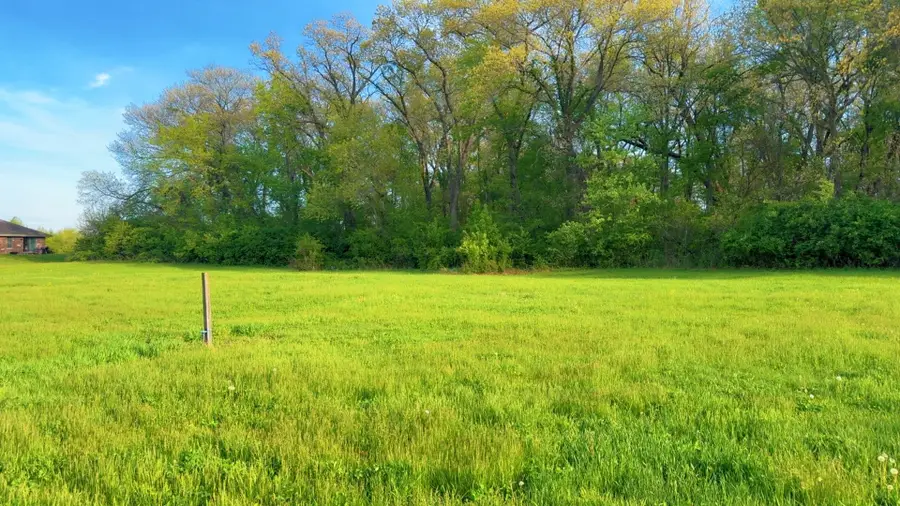 211 River Run Drive, Saint Anne, IL 60964 - #2