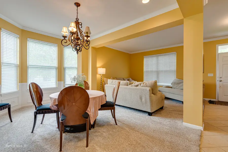 26602 Grande Poplar Court, Plainfield, IL 60585 - #2