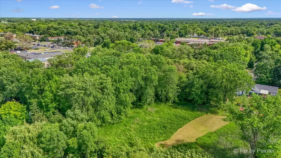 454 W Terra Cotta Avenue, Crystal Lake, IL 60014 - #2