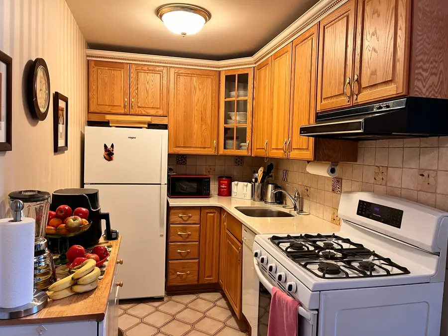 5975 N Odell Avenue #2C, Chicago, IL 60631 - #2