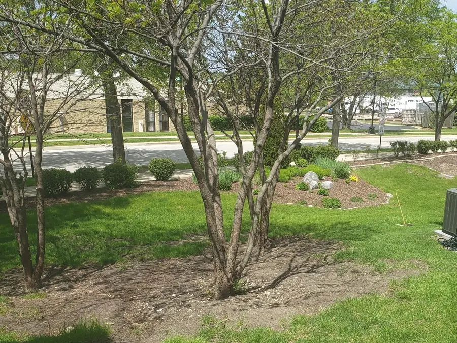 157 Louise Court #157, Wood Dale, IL 60191 - #3