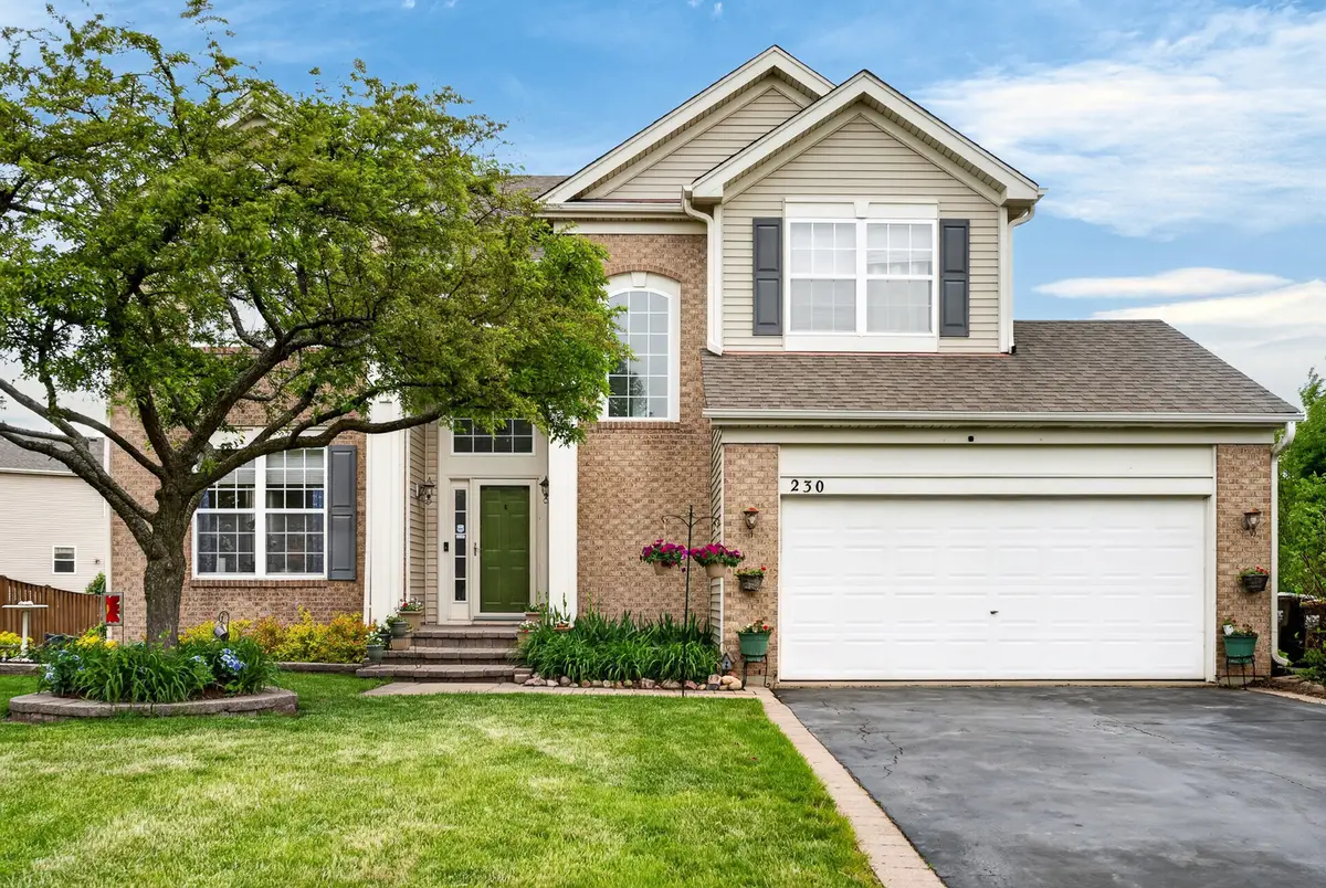 230 Vail Court, Gilberts, IL 60136 - #1