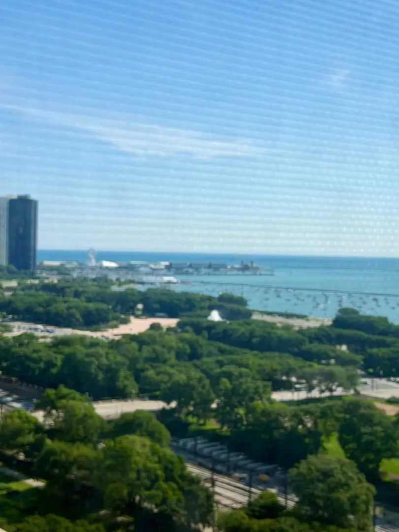 910 S Michigan Avenue #1705, Chicago, IL 60605 - #3