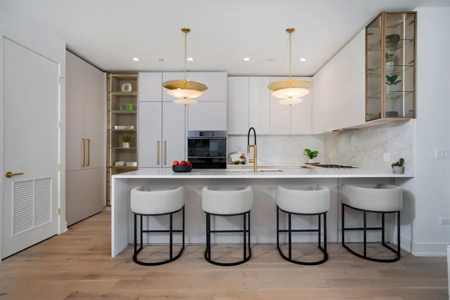 2254 W Chicago Avenue #2S, Chicago, IL 60622 - #3