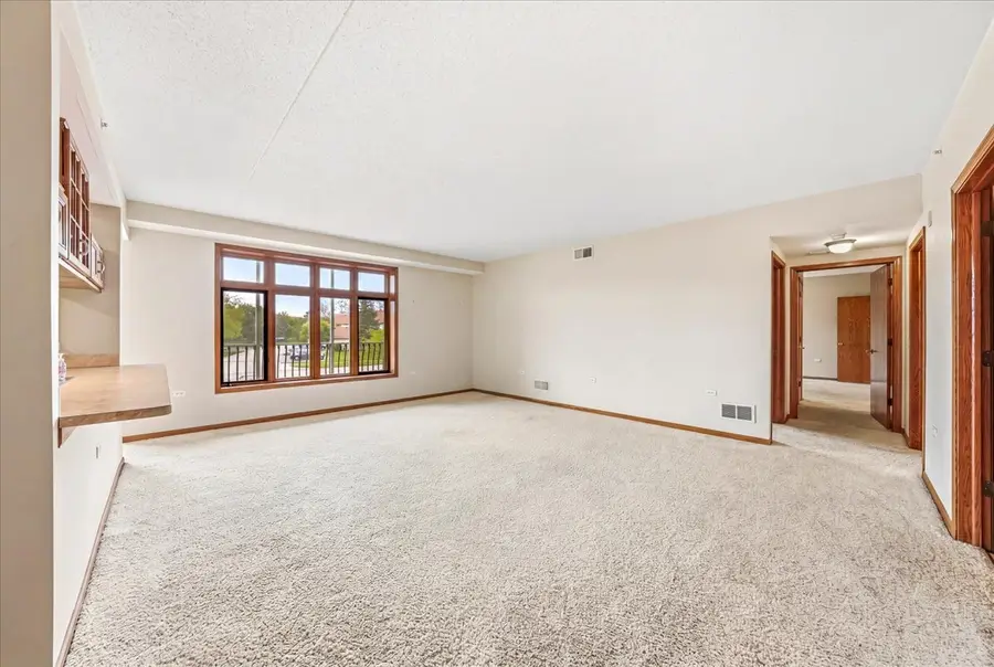 18550 Pine Lake Drive #1a, Tinley Park, IL 60477 - #3