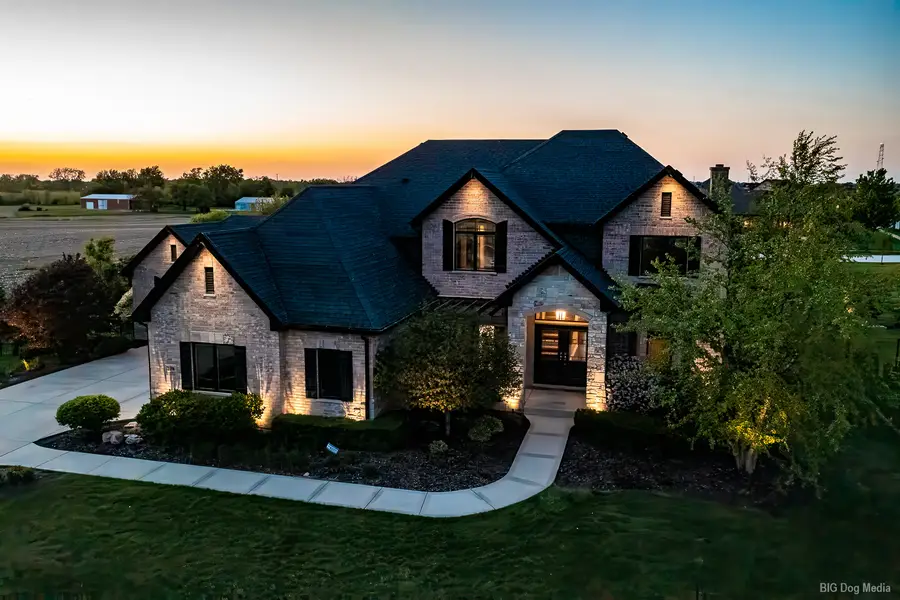 23296 Sunburst Point, Frankfort, IL 60423 - #2