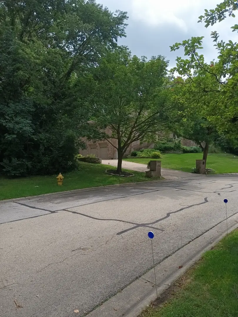 3 Merrimack Court, Bolingbrook, IL 60440 - #2