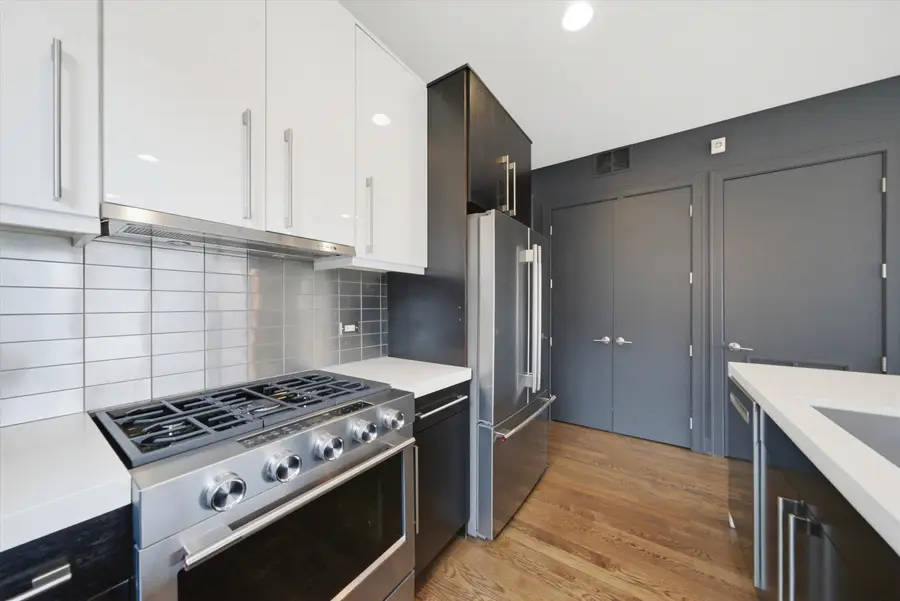 1335 N Bosworth Avenue #2N, Chicago, IL 60642 - #3