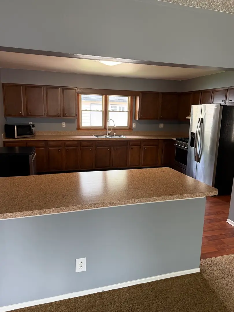 297 Jan Drive, Manteno, IL 60950 - #3