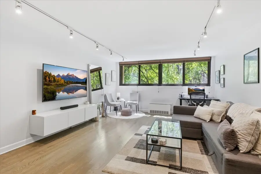 30 E Division Street #2A, Chicago, IL 60610 - #3