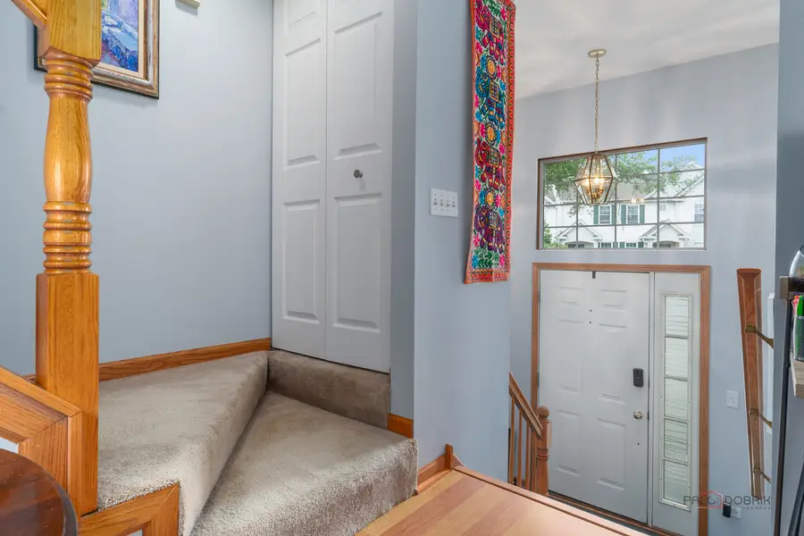1123 Manchester Circle, Grayslake, IL 60030 - #3