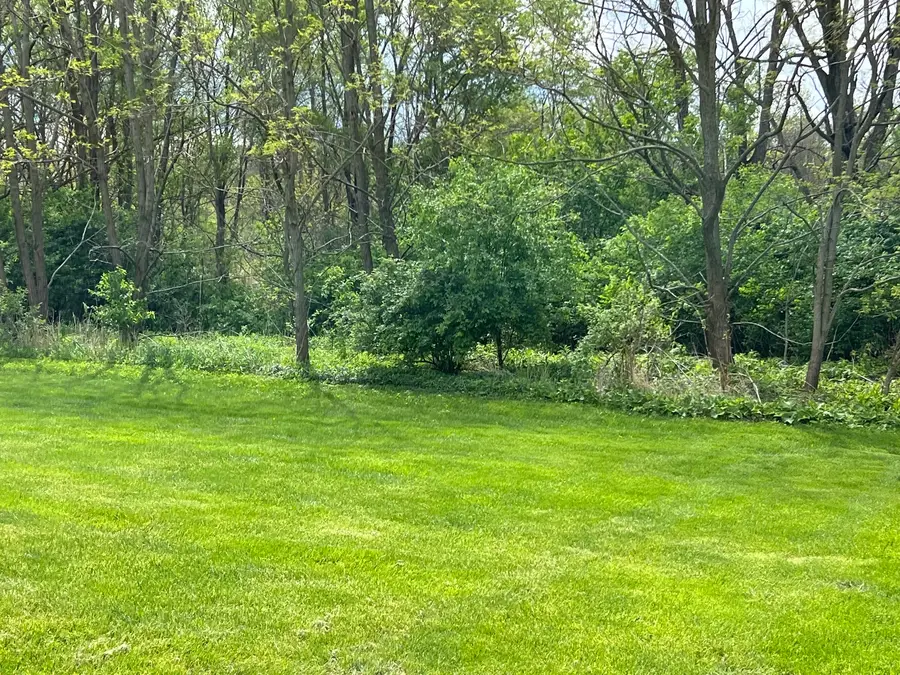4325 Thornwood Avenue, Matteson, IL 60443 - #3