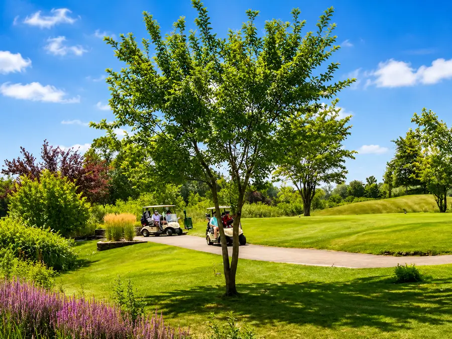 123 Iliad Drive, Tinley Park, IL 60477 - #3