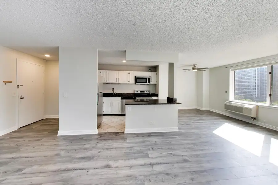 801 S Plymouth Court #1006, Chicago, IL 60605 - #3