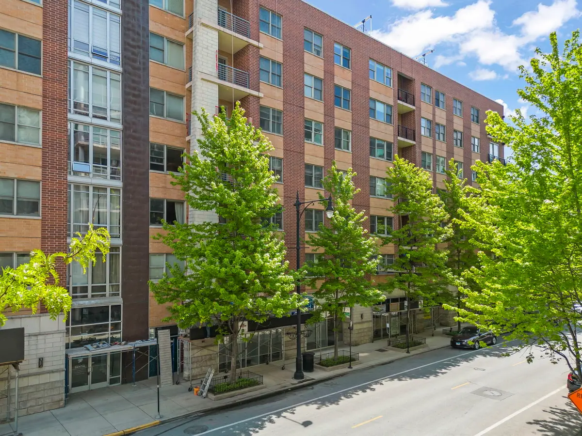 873 N Larrabee Street #202, Chicago, IL 60610 - #1