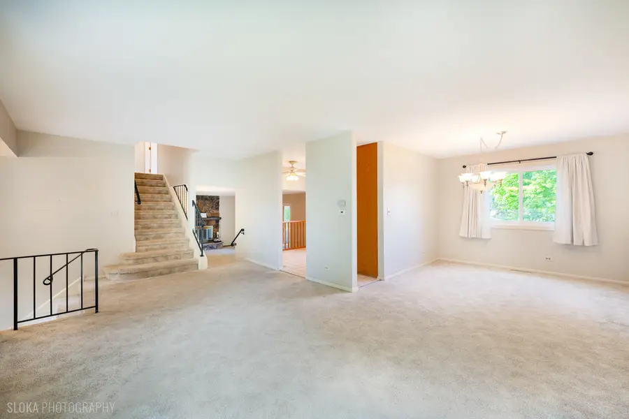 1291 Big Horn Trail, Carol Stream, IL 60188 - #3