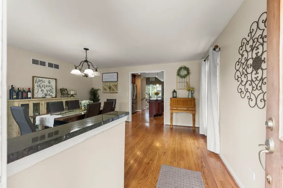 4528 Middaugh Avenue, Downers Grove, IL 60515 - #3