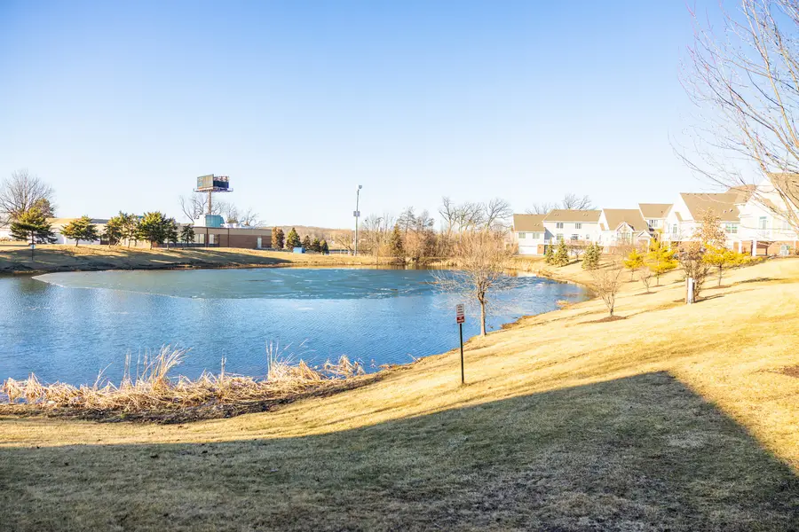 4313 Timber Ridge Court, Joliet, IL 60431 - #3