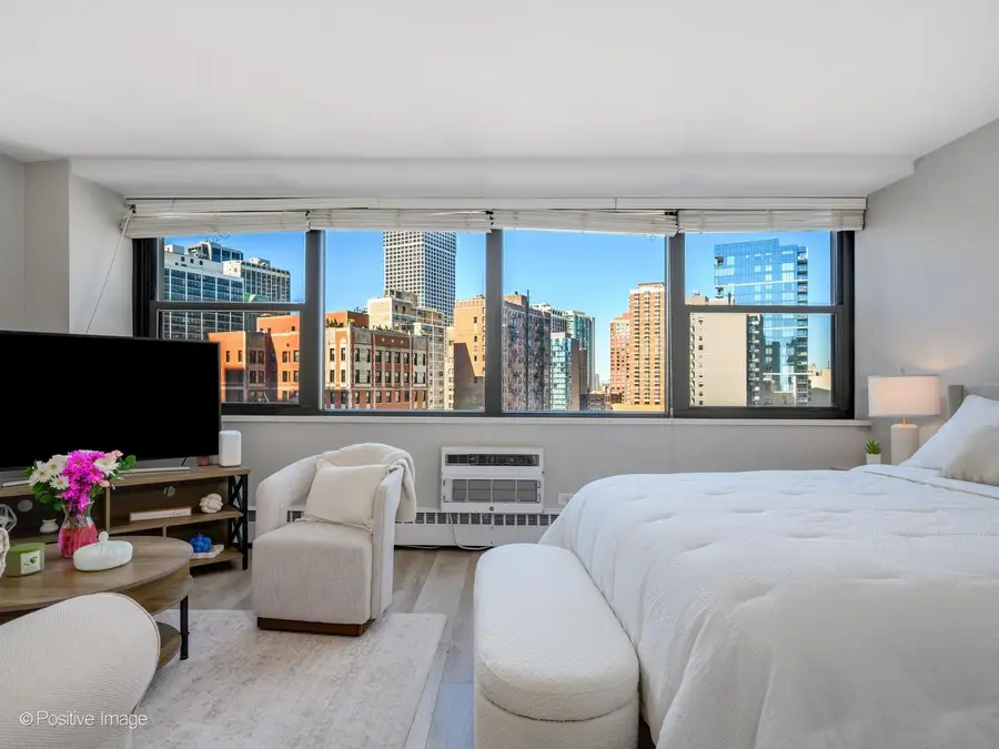1150 N Lake Shore Drive #13L, Chicago, IL 60611 - #2