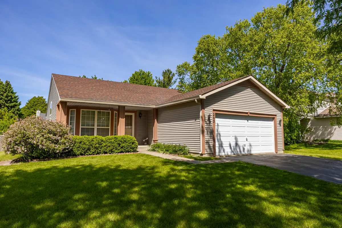 205 Woodlet Lane, Bolingbrook, IL 60490 - #1