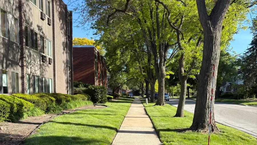 1117 Leavitt Avenue #108, Flossmoor, IL 60422 - #3