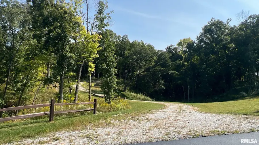 805 W 5th Street Lane, Coal Valley, IL 61240 - #3