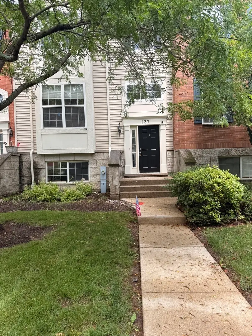 127 Willey Street, Gilberts, IL 60136 - #1