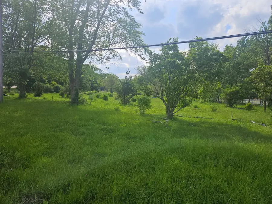 24232 S Kings Road, Crete, IL 60417 - #2