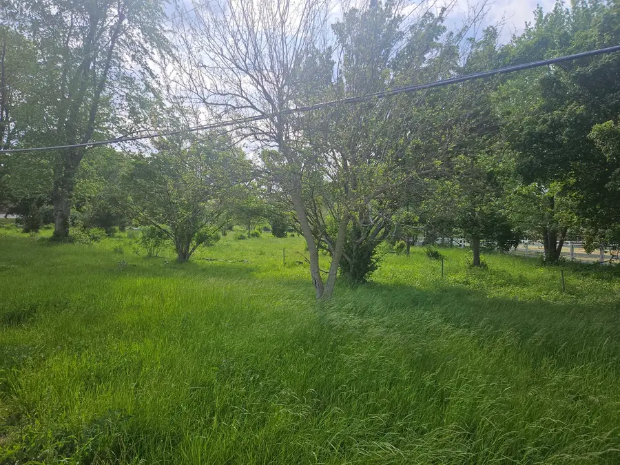 24232 S Kings Road, Crete, IL 60417 - #3