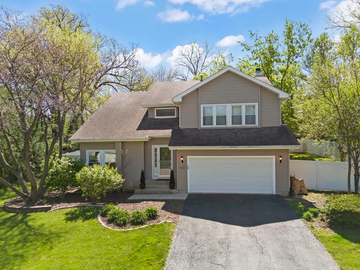 421 Cambridge Way, Bolingbrook, IL 60440 - #1