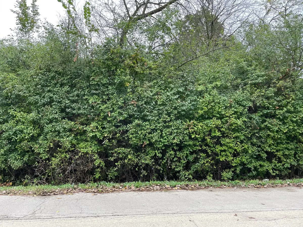 000 Redbud Drive, Joliet, IL 60433 - #1