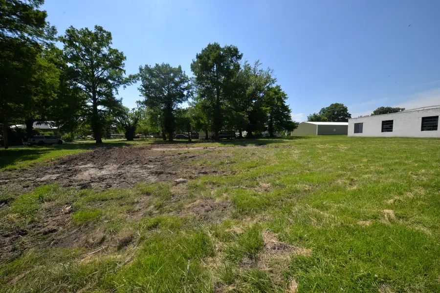 Lots 14 - 16 W 4th Street, Bonnie, IL 62816 - #3