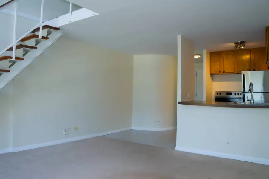 1221 N Dearborn Parkway #411S, Chicago, IL 60610 - #2