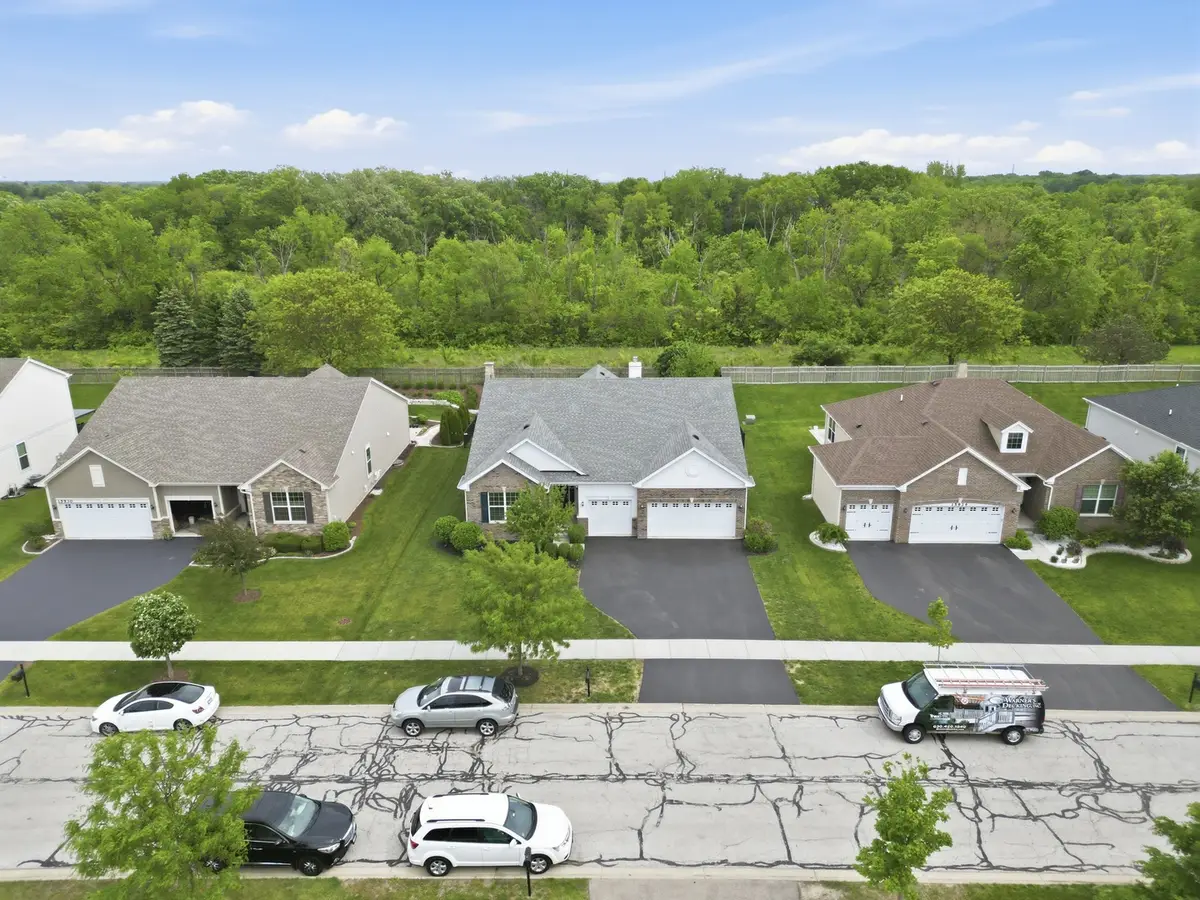 15932 S Selfridge Circle, Plainfield, IL 60586 - #1