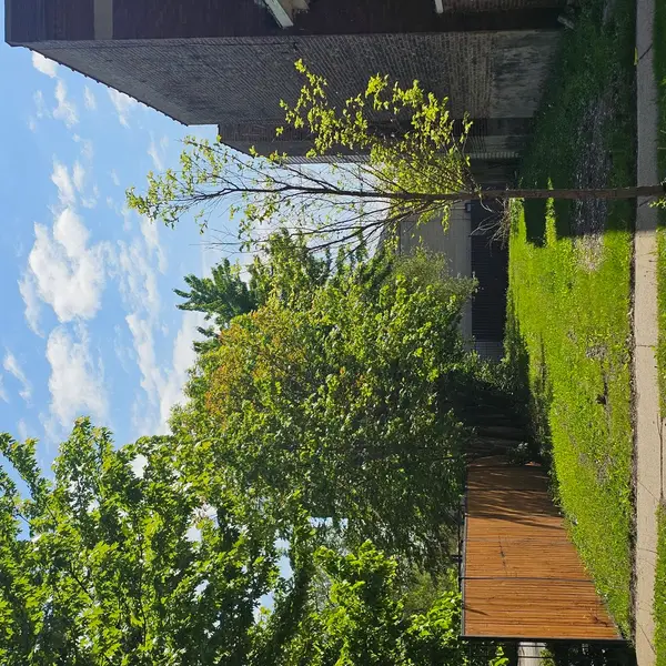 6507 S Marshfield Avenue, Chicago, IL 60636