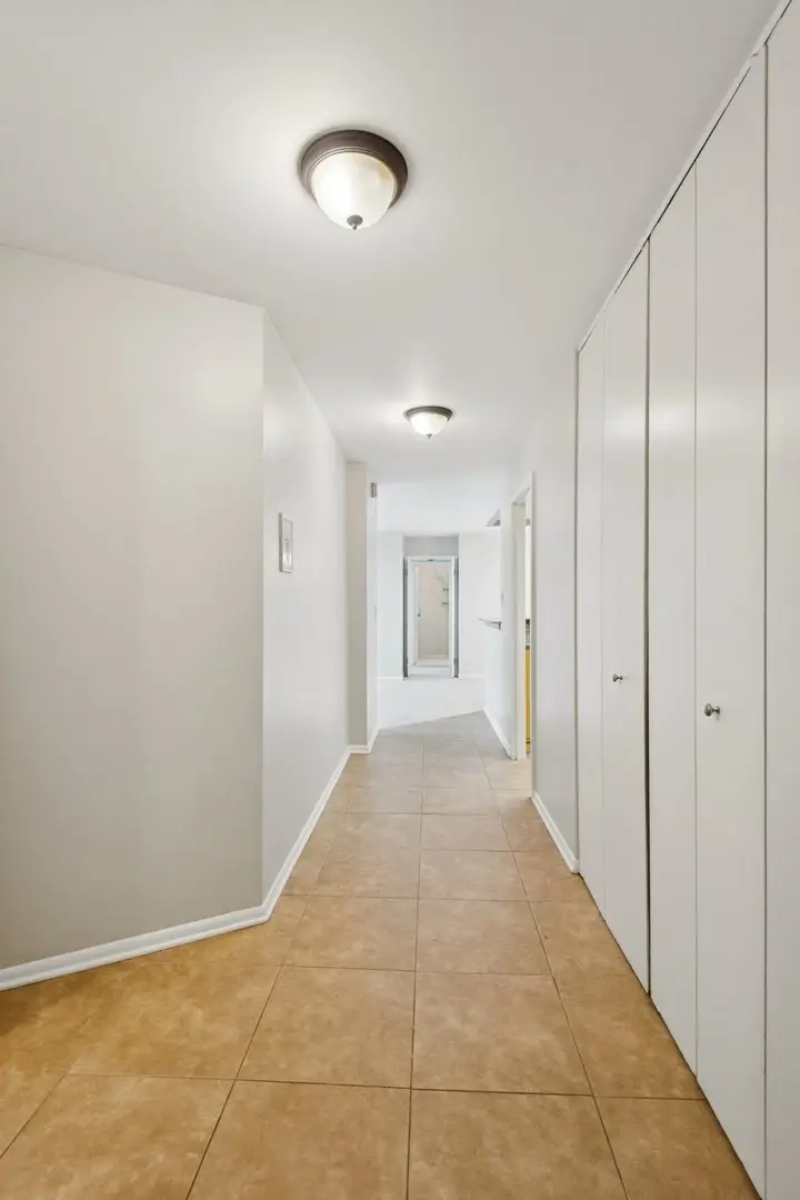 155 N Harbor Drive #5410, Chicago, IL 60601 - #3