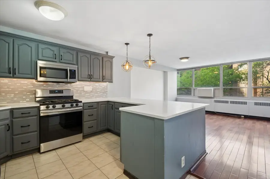 3950 N Lake Shore Drive #205A, Chicago, IL 60613 - #3