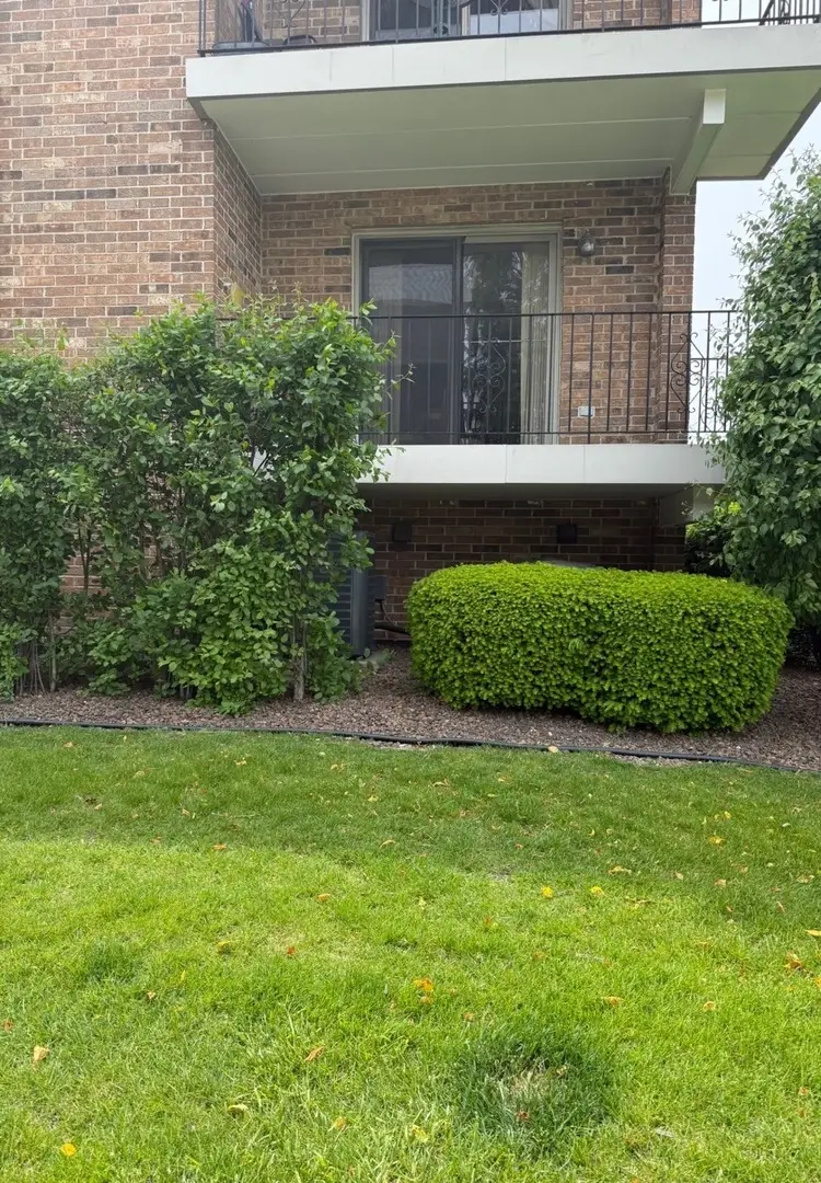 9168 Del Prado Drive #1N, Palos Hills, IL 60465 - #2