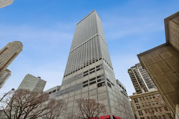 180 E Pearson Street #7203, Chicago, IL 60611